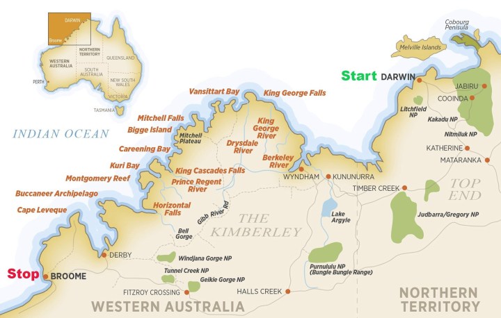 Readers’ wildlife photos