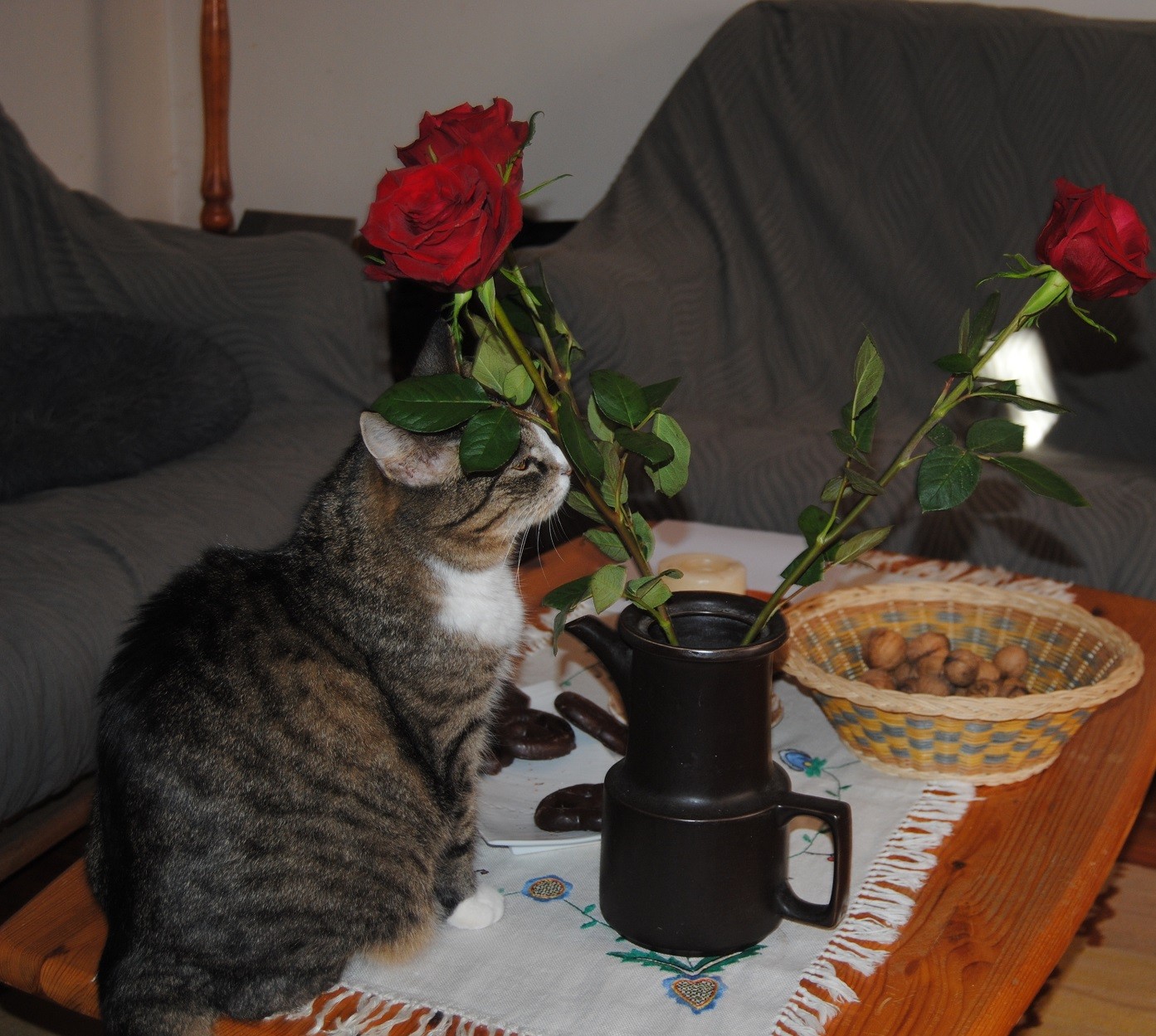 Image for article Monday Hili dialogue
