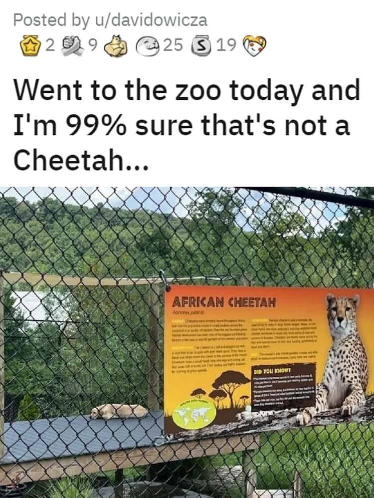 Monday: Hili dialogue