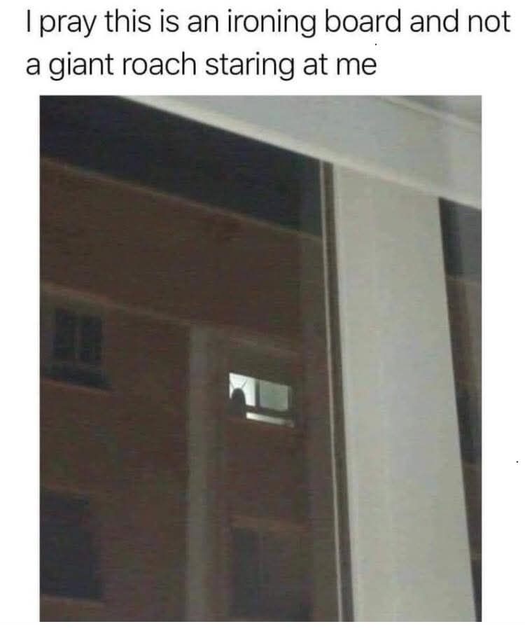 Friday: Hili dialogue